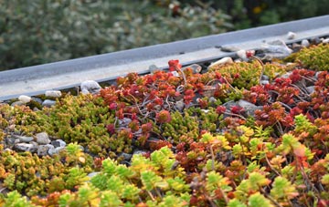 the cost of Highams Park green roof installation