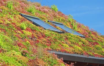 Highams Park living roof systems